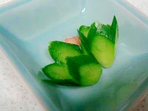 きゅうり 飾り切り 桔梗の花 レシピ 作り方 By ねあっっ 楽天レシピ きゅうり 飾り切り 桔梗の花 レシピ 作り方 By ねあっっ 楽天レシピ