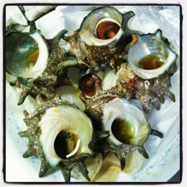 どーすんの サザエの食べ方 レシピ 作り方 By ラ フジノリ 楽天レシピ どーすんの サザエの食べ方 レシピ 作り方 By ラ フジノリ 楽天レシピ