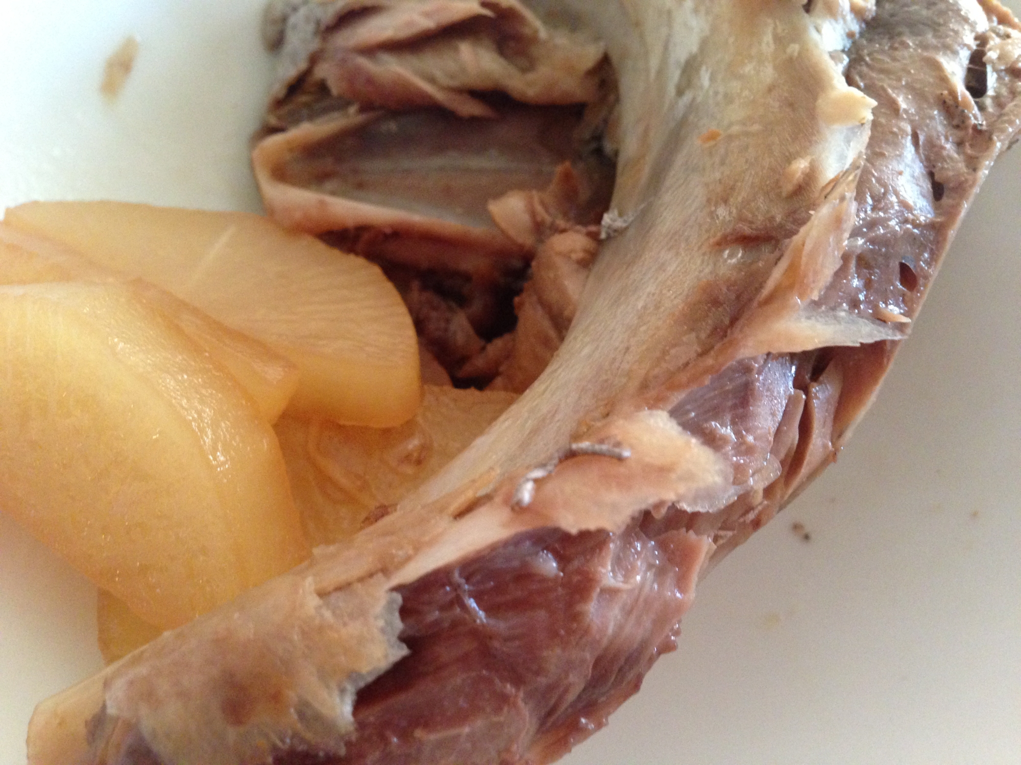 マグロカマ大根煮 レシピ 作り方 By R0417n0613 楽天レシピ マグロカマ大根煮 レシピ 作り方 By R0417n0613 楽天レシピ