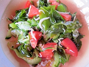 きゅうり、わかめ、トマト&しらすの酢の物