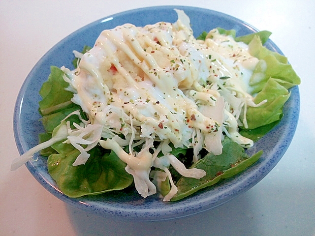 サラダ菜とキャベツとポテトサラダのヨーグルトサラダ