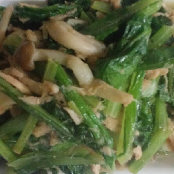 小松菜とツナのしょうが炒め レシピ 作り方 By Mamaちゃんちゃん 楽天レシピ 小松菜とツナのしょうが炒め レシピ 作り方 By Mamaちゃんちゃん 楽天レシピ