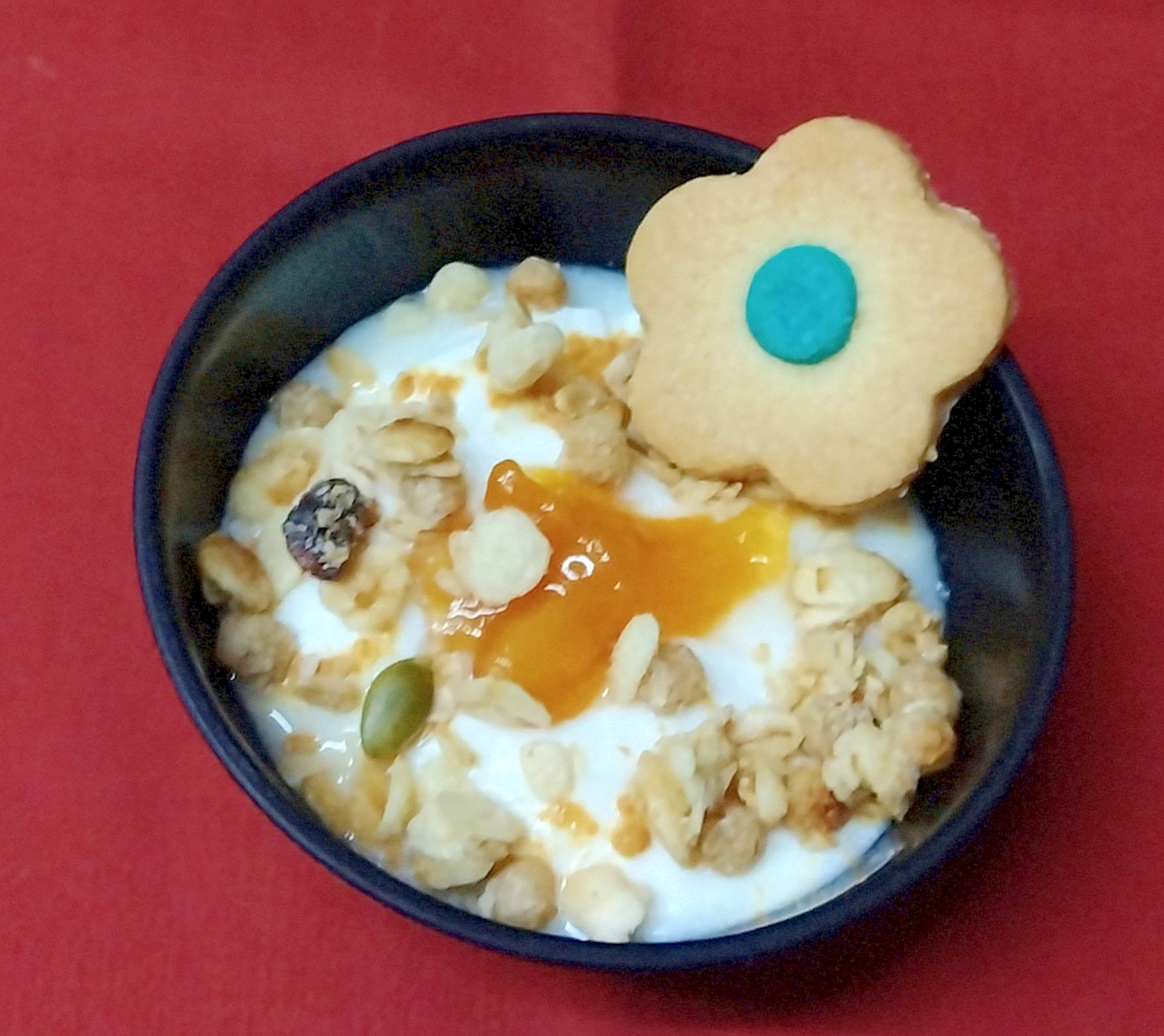 クッキーヨーグルトⅪ