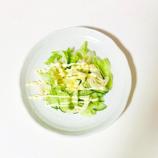 蓮根の入り生野菜サラダ レシピ 作り方 By Libre 楽天レシピ 蓮根の入り生野菜サラダ レシピ 作り方 By Libre 楽天レシピ