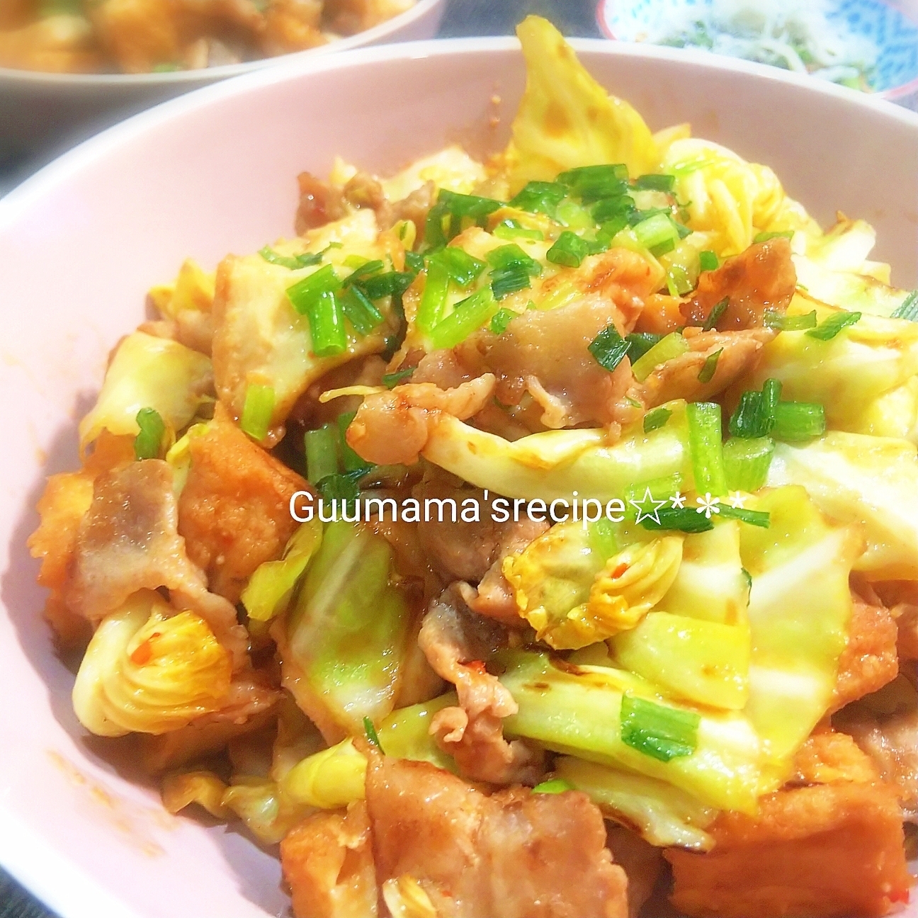 厚揚げと豚肉とキャベツのピリ辛味噌炒め