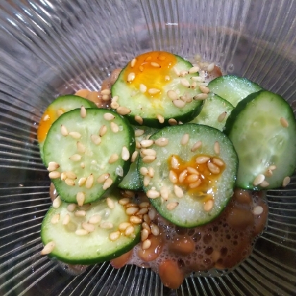 きゅうりピリ辛納豆