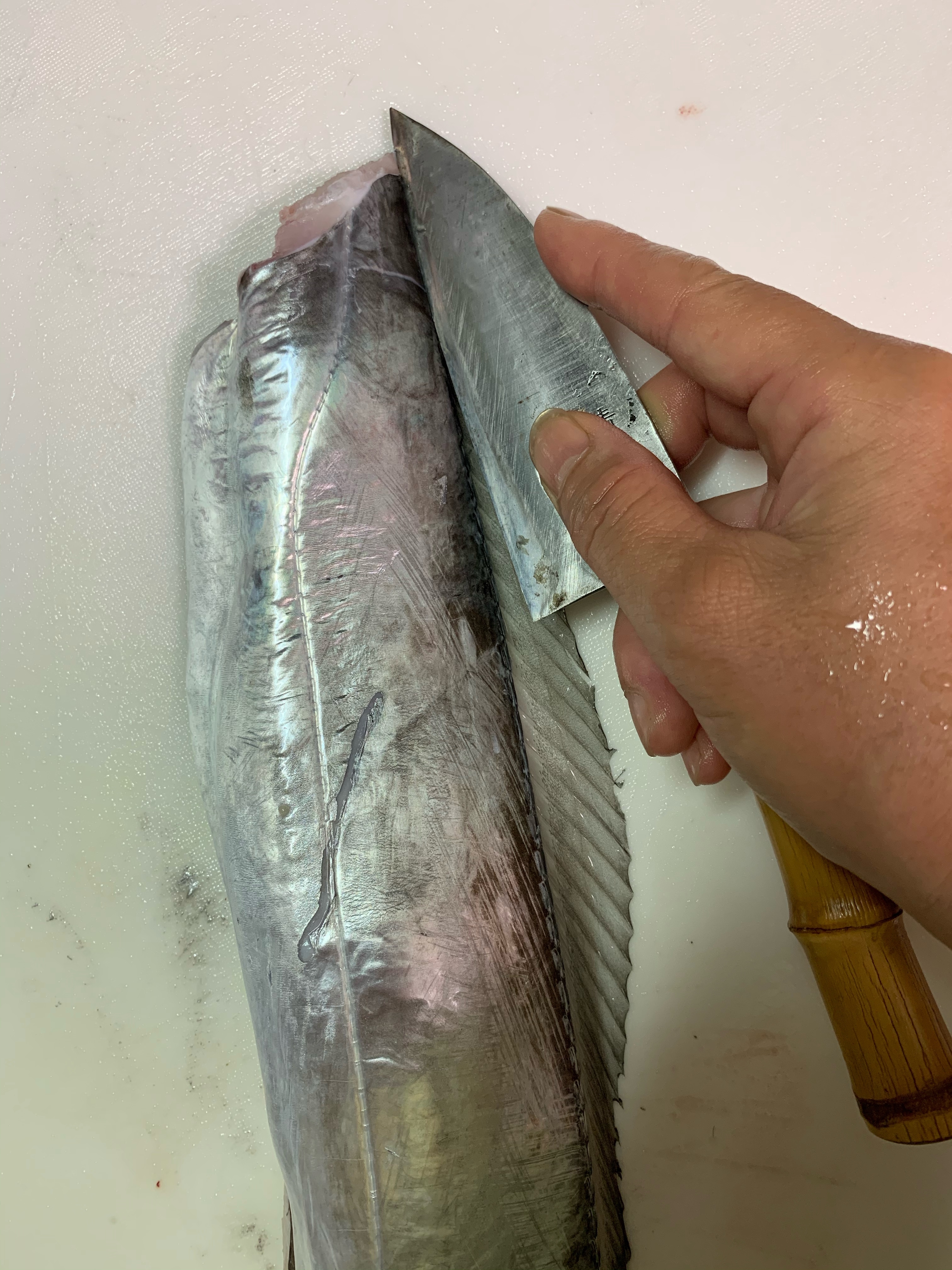 タチウオの捌き方 ぶつ切り調理用 レシピ 作り方 By 魚魚まんま 楽天レシピ