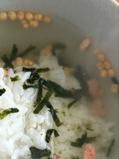 鮭とネギのお茶漬け