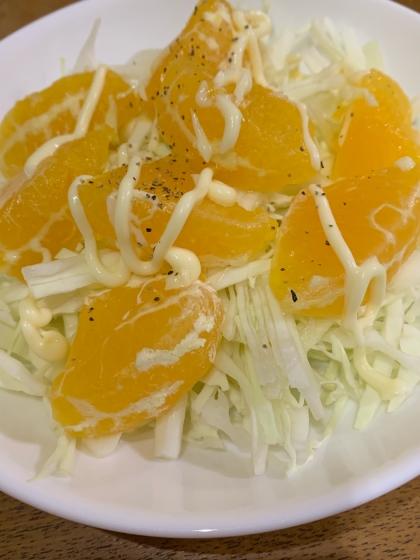 レモン/マヨ/ＭＳで　キャベツと蜜柑のサラダ