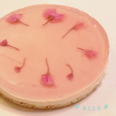 桜のレアチーズケーキ レシピ 作り方 By Acco あっこ 楽天レシピ