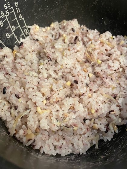 雑穀米入れて炊きました‼︎
レシピ参考になりました♪