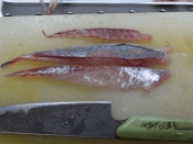 夏の酒肴 酢の素で アジの酢じめ レシピ 作り方 By Startrek 楽天レシピ 夏の酒肴 酢の素で アジの酢じめ レシピ 作り方 By Startrek 楽天レシピ