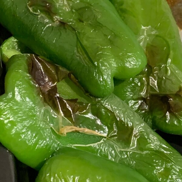 作り置きできるグリルピーマン レシピ 作り方 By 小さいバジル 楽天レシピ 作り置きできるグリルピーマン レシピ 作り方 By 小さいバジル 楽天レシピ