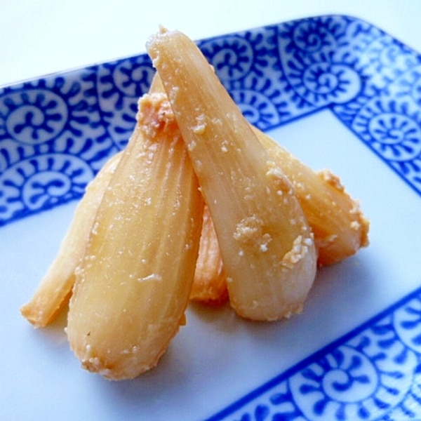 お味噌に漬けるだけ らっきょうの味噌漬け レシピ 作り方 By 身の茸335 楽天レシピ お味噌に漬けるだけ らっきょうの味噌漬け レシピ 作り方 By 身の茸335 楽天レシピ