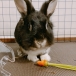 おかん・3・