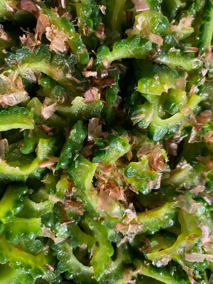 ゴーヤの大量消費に助かりました！
簡単で美味しい！
また作りまーす！