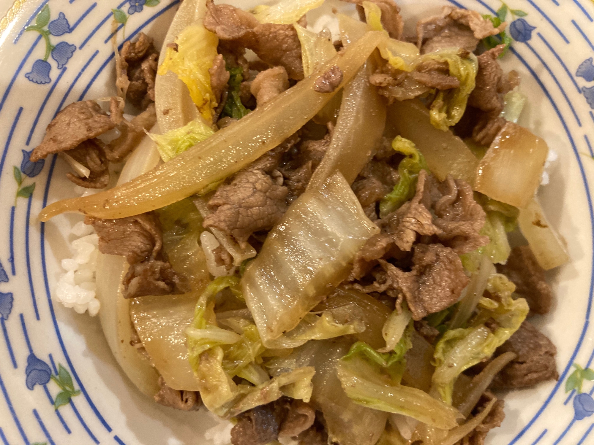 牛肉と白菜とたまねぎの甘辛煮どん