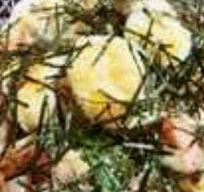 栗とヨモギ✿⁠味噌汁で✿⁠炊き込みご飯