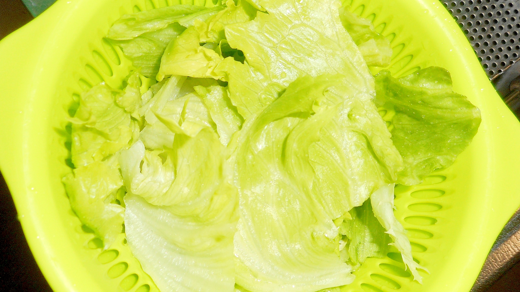 青果さんから聞いた葉物野菜をパリッとさせるコツ