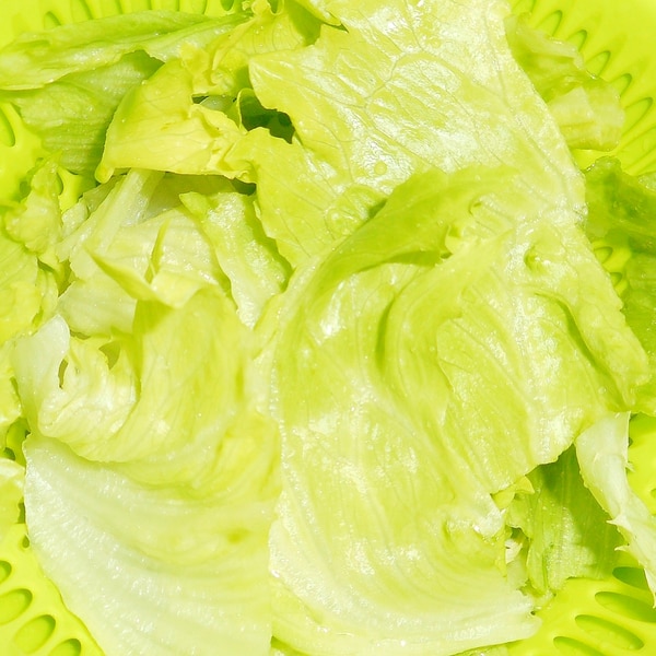 青果さんから聞いた葉物野菜をパリッとさせるコツ レシピ 作り方 By おもたんたん 楽天レシピ 青果さんから聞いた葉物野菜をパリッとさせるコツ レシピ 作り方 By おもたんたん 楽天レシピ