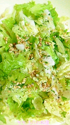 白菜とレタスのサラダ