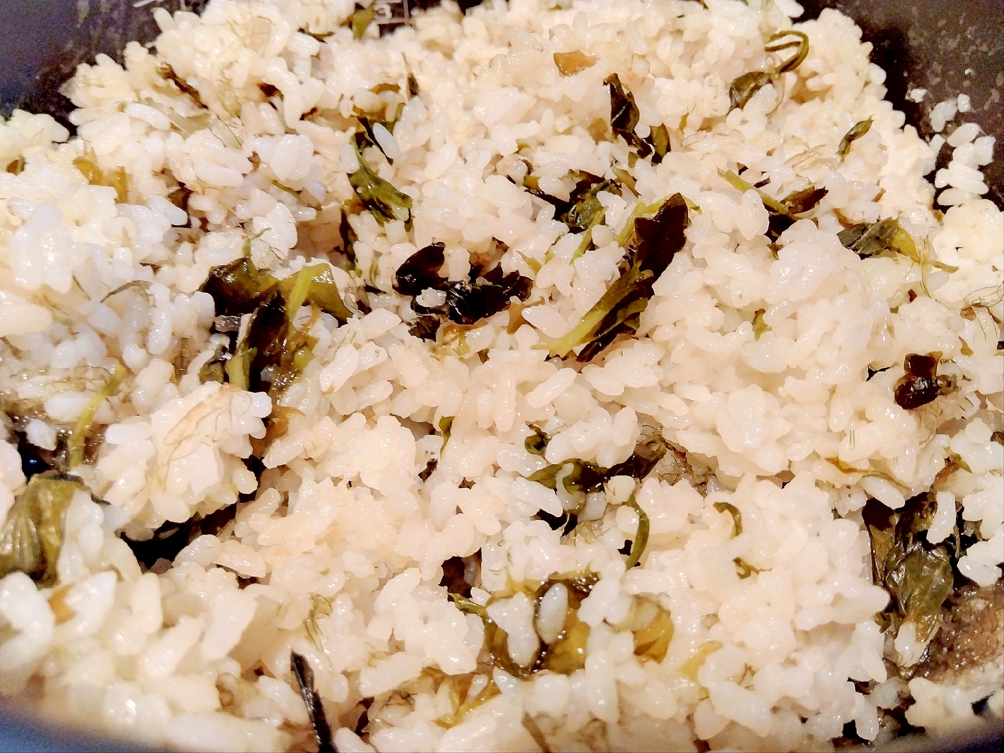 フーチバーとろろ昆布ふのりワカメの炊き込みご飯