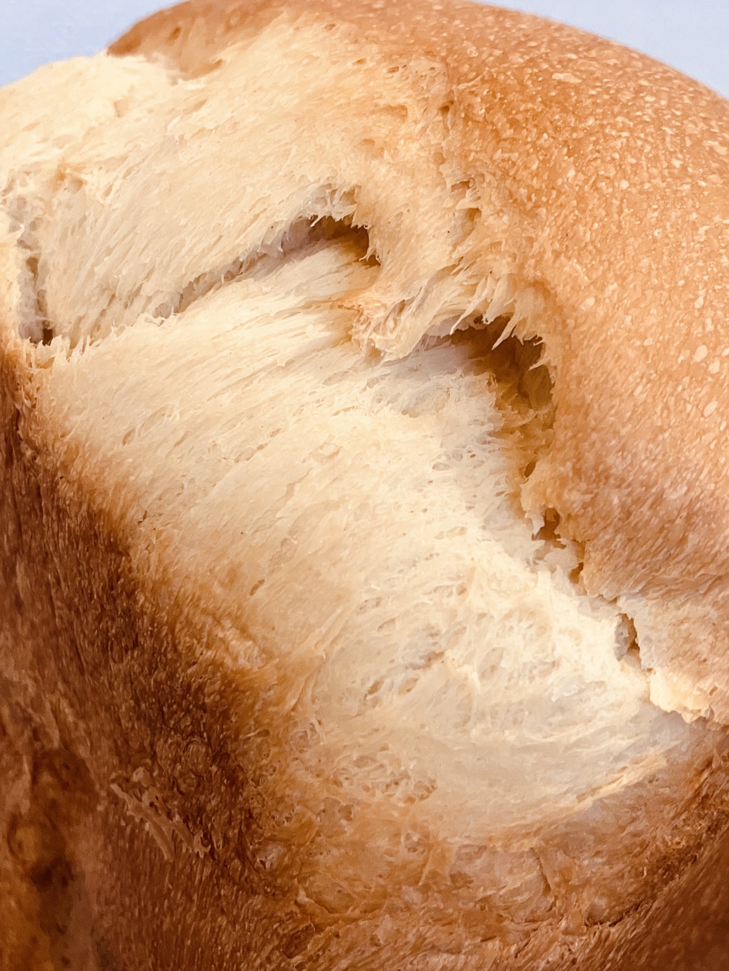 HBと国産強力粉でつくる生食パン