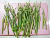 自家栽培のニンニクで作る ニンニクの花芽の天ぷら レシピ 作り方 By やおぴょん0 楽天レシピ 自家栽培のニンニクで作る ニンニクの花芽の天ぷら レシピ 作り方 By やおぴょん0 楽天レシピ