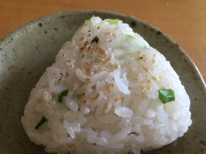 ねぎ胡麻de焼きおにぎり♪