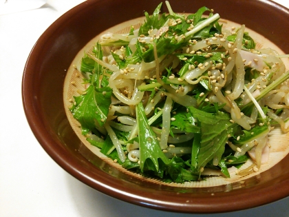 水菜がもやしとこんなに合うとは意外でした。タレもいいお味で、美味しくいただきました♪