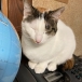 みちみち０２２７