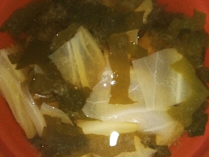 白葱と白菜、ワカメの味噌汁