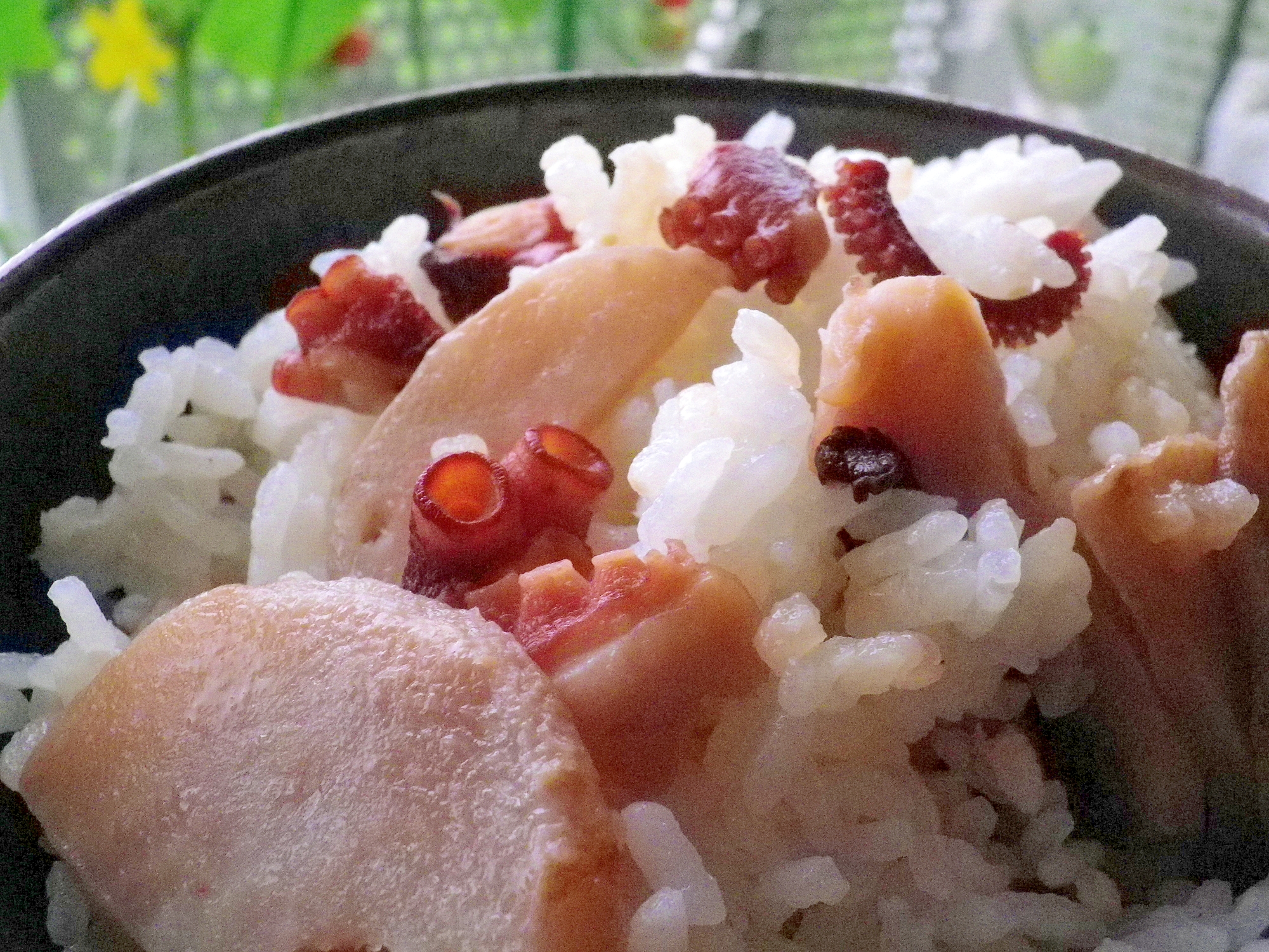 タコと里芋の混ぜご飯