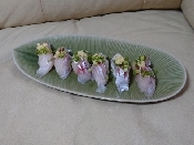 釣り魚料理 カイワリの握り寿司 レシピ 作り方 By 釣りシン 楽天レシピ