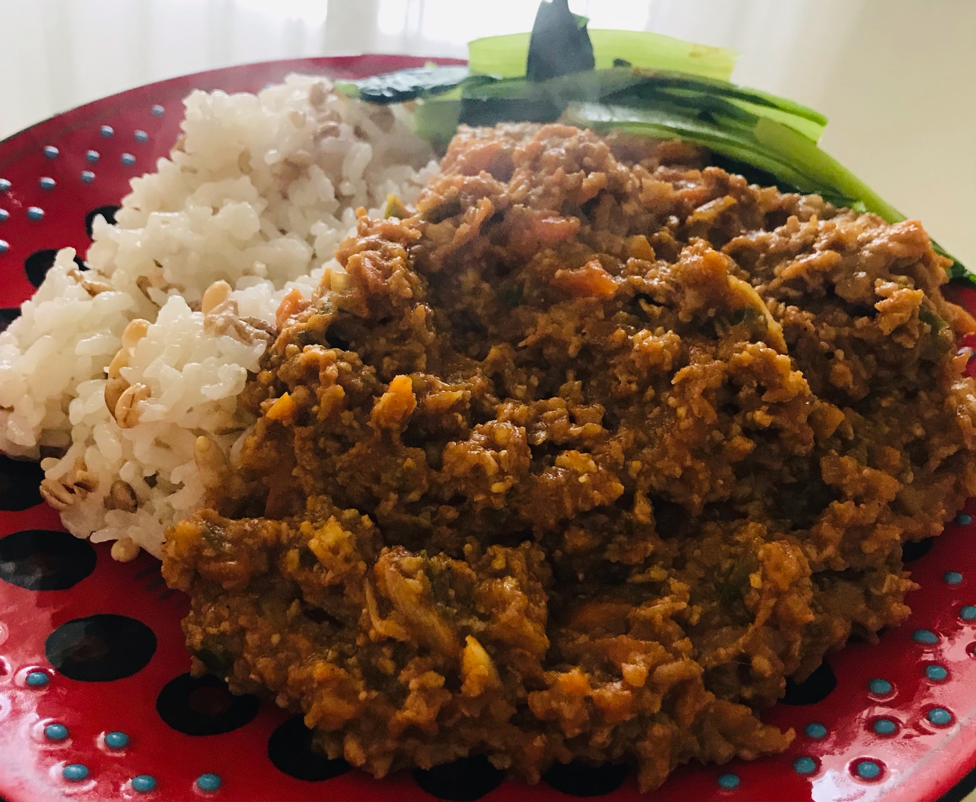 蓮根のシャキシャキ感がたまらない☆キーマカレー☆