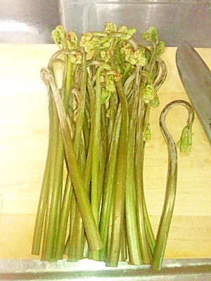 簡単 ワラビの下処理 灰汁のとり方 レシピ 作り方 By 9 10 楽天レシピ 簡単 ワラビの下処理 灰汁のとり方 レシピ 作り方 By 9 10 楽天レシピ