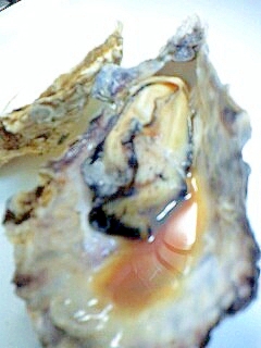 レンジで簡単楽チン 殻つき牡蠣の蒸し焼き レシピ 作り方 By にゃんこすけ321 楽天レシピ レンジで簡単楽チン 殻つき牡蠣の蒸し焼き レシピ 作り方 By にゃんこすけ321 楽天レシピ