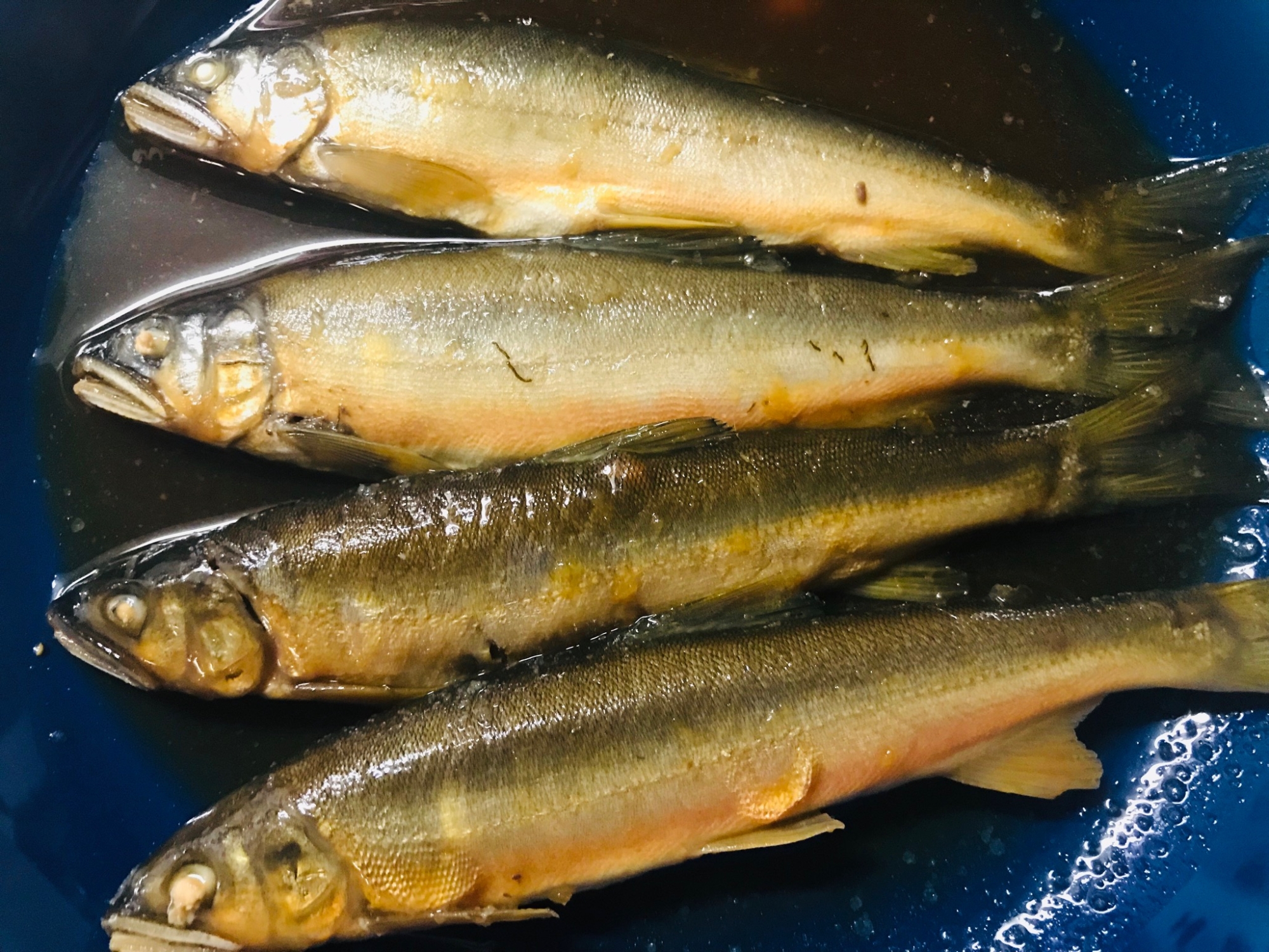 あゆの甘露煮