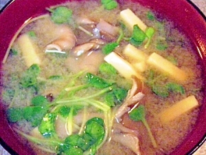 高野豆腐と舞茸と貝割れのお味噌汁