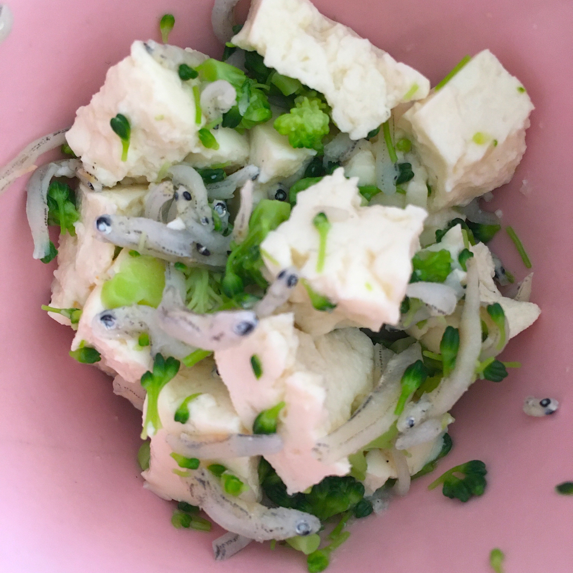 離乳食完了期 木綿豆腐としらすのブロッコリー和え レシピ 作り方 By りし 楽天レシピ 離乳食完了期 木綿豆腐としらすのブロッコリー和え レシピ 作り方 By りし 楽天レシピ