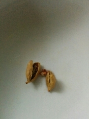 スパイス女子に捧ぐ 水分補給 カルダモンウォーター レシピ 作り方 By Nene7 楽天レシピ スパイス女子に捧ぐ 水分補給 カルダモンウォーター レシピ 作り方 By Nene7 楽天レシピ