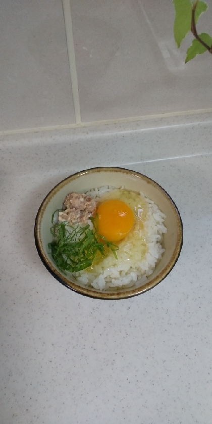 大好きなツナマヨと大葉の香りで美味しい朝御飯になりました！ごちそうさまでした～(*´∇｀)ﾉ