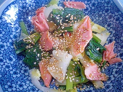 「小松菜と白菜漬け、焼き鮭の和え物」　　　♪♪