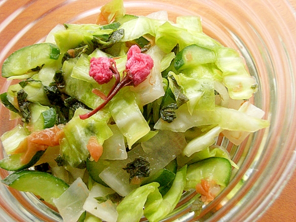 塩なし❤梅干し＆大葉で野菜３種の一夜漬け♪