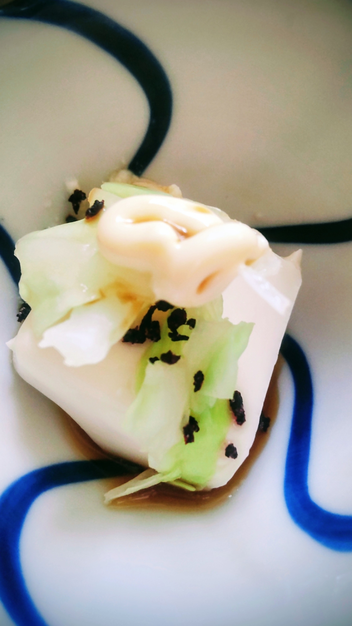 キャベツとゆかりの冷奴