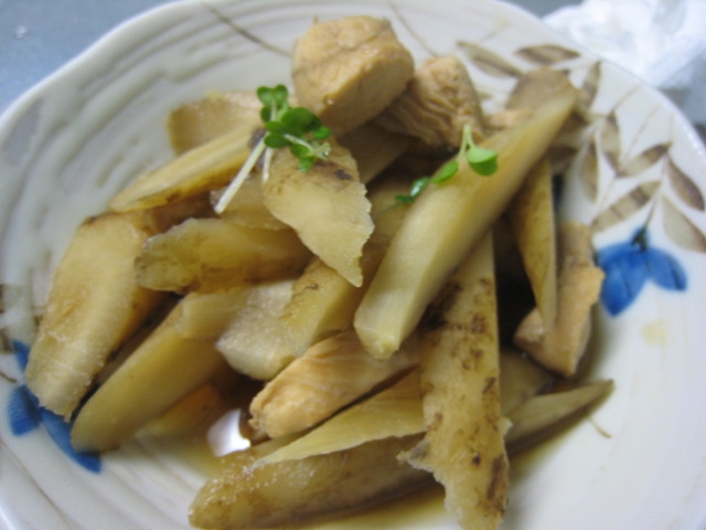 鶏肉とごぼうの簡単あっさり煮♪