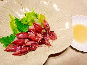 ゴマ油と塩で食す ホタルイカとアマドコロ レシピ 作り方 By ブルーボリジ 楽天レシピ