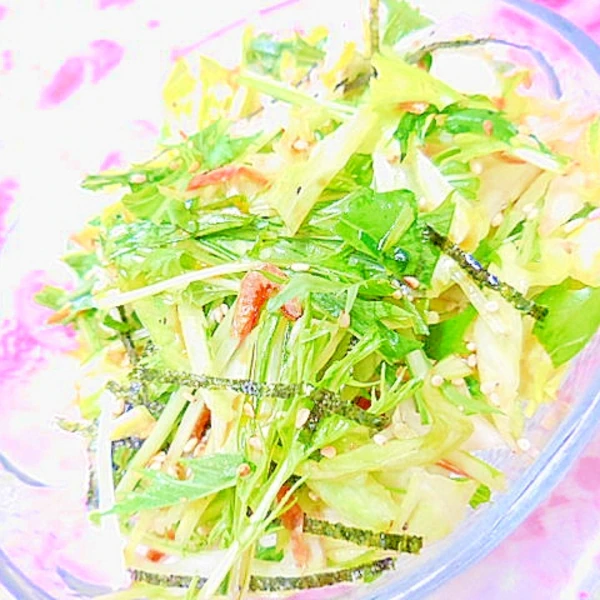 水菜と花小エビと白菜と味海苔のマヨネーズサラダ レシピ 作り方 By 小太郎1212 楽天レシピ 水菜と花小エビと白菜と味海苔のマヨネーズサラダ レシピ 作り方 By 小太郎1212 楽天レシピ