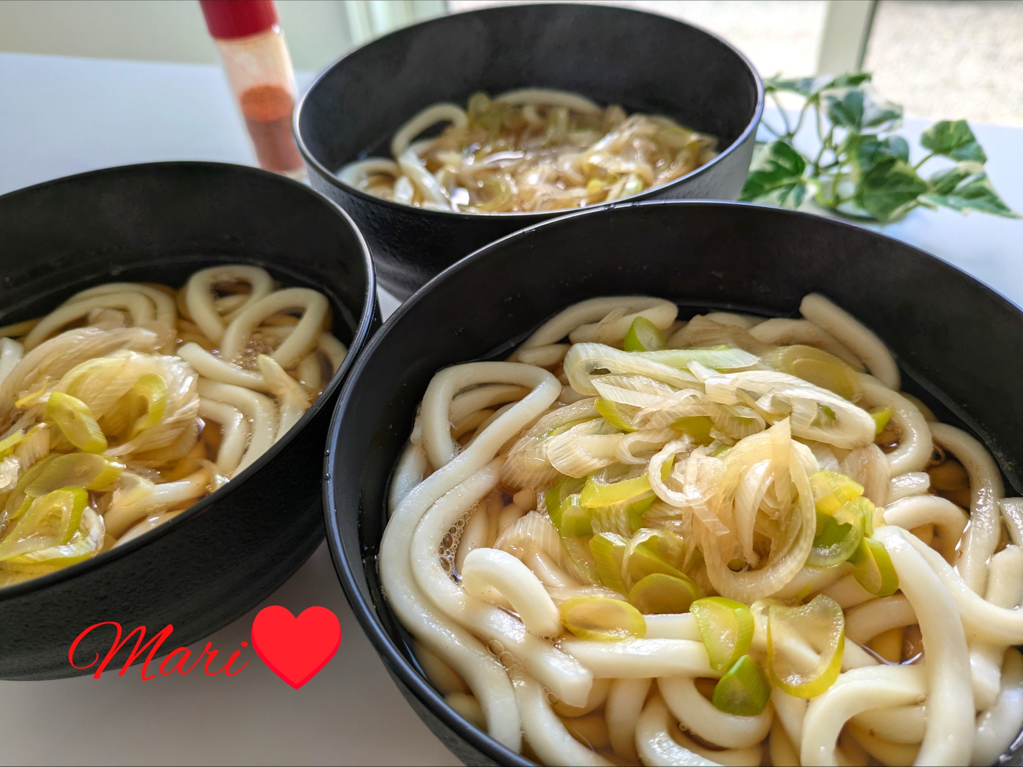 あったか長葱うどん