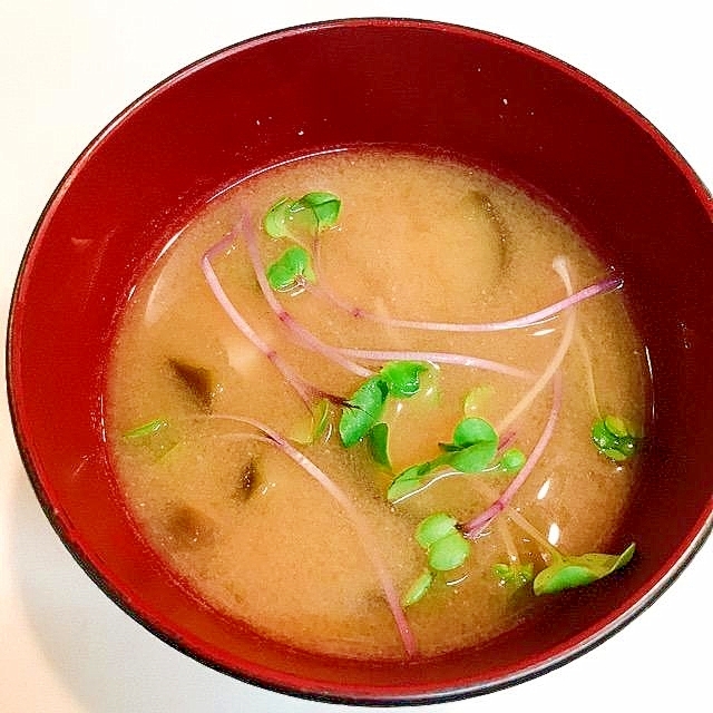 茄子と椎茸とかいわれ大根の味噌汁